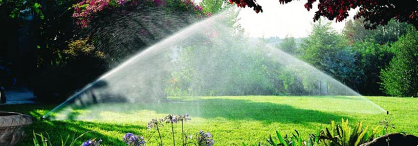 <b> Irrigação Inteligente </b><br/>
Esqueça a irrigação do seu jardim. Temporizadores e sensores de umidade determinam o acionamento do sistema de irrigação e possibilitam uma rega perfeita, adequada a cada planta e com o máximo de economia.